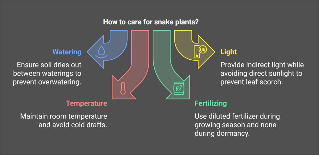 Snake plant care guide: watering, light, temperature, and fertilizing tips