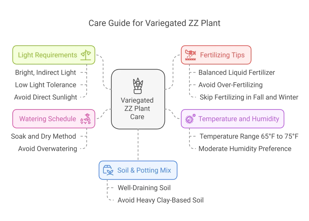 Infographic on How to Care for a Variegated ZZ Plant, covering light, temperature, humidity, watering, soil, and fertilizing tips.