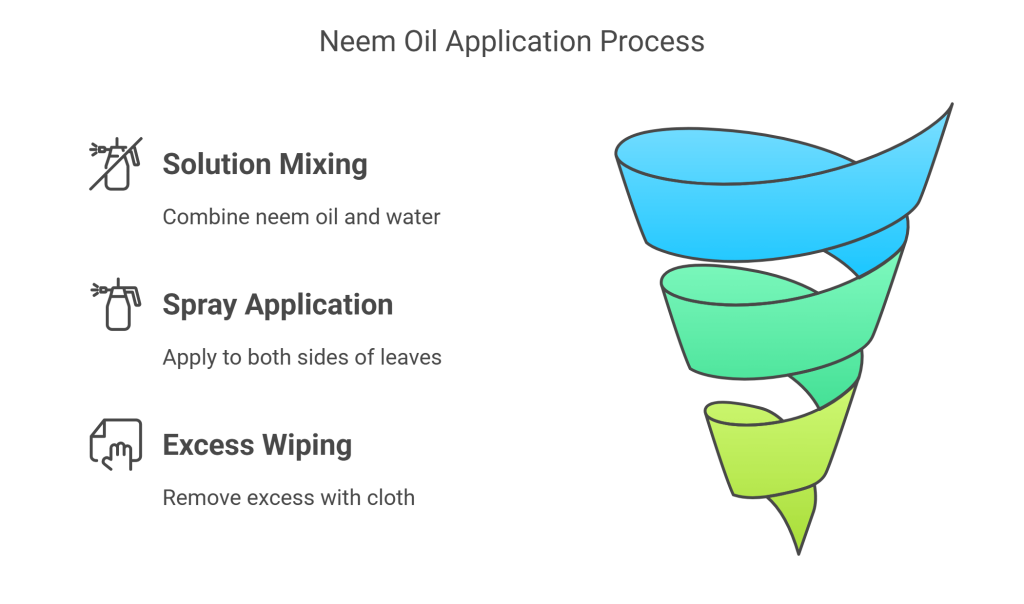 Key steps to clean Peace Lily leaves with Neem Oil method.