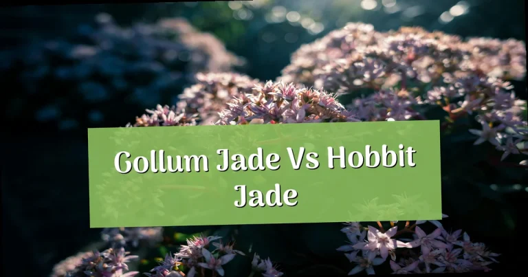 Gollum Jade vs Hobbit Jade: Complete Breakdown of Crassula Ovata Cultivars
